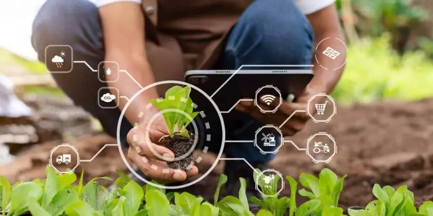 elements-of-climate-smart-agriculture.jpeg